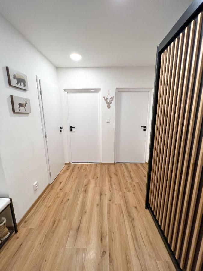 Apartman Visek Яхимів Екстер'єр фото