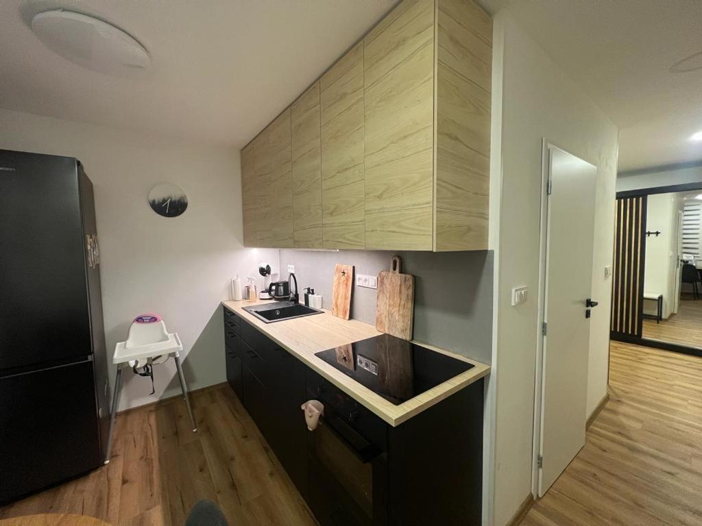Apartman Visek Яхимів Екстер'єр фото